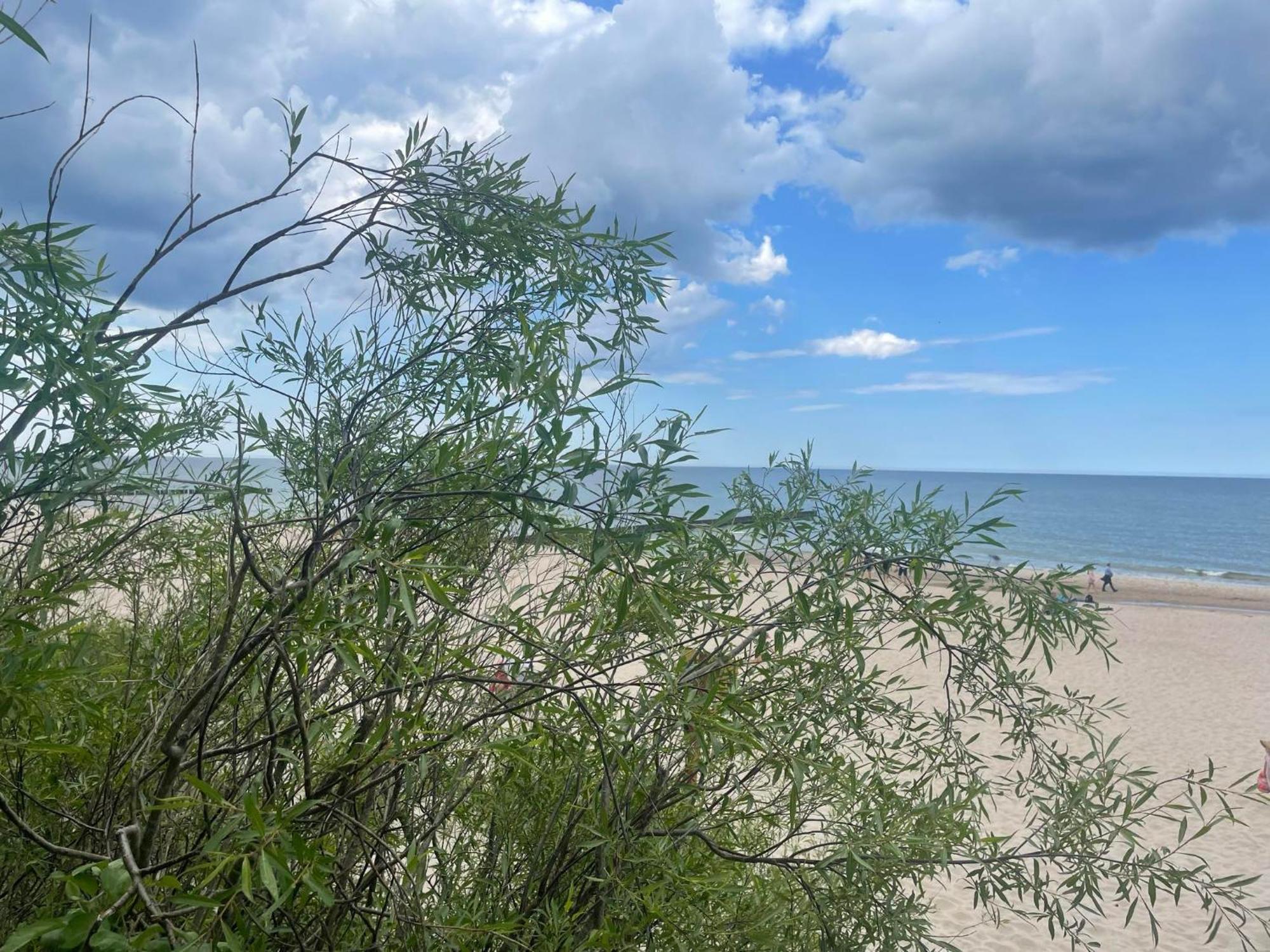Apartament Na Lesnej Pobierowo Bagian luar foto
